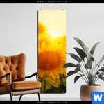 Bild Edelstahloptik Sonnenblumen Im Abendlicht Schmal Produktvorschau mit dem Bild Sonnenblumen im Abendlicht im Format Schmal.