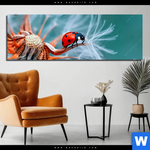 Bild Edelstahloptik Sonnenkaefer Auf Pusteblume Panorama Produktvorschau mit dem Bild Sonnenkäfer auf Pusteblume im Format Panorama.