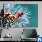 Bild Edelstahloptik Sonnenkaefer Auf Pusteblume Querformat Produktvorschau mit dem Bild Sonnenkäfer auf Pusteblume im Format Querformat.