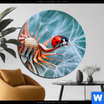 Bild Edelstahloptik Sonnenkaefer Auf Pusteblume Rund Produktvorschau mit dem Bild Sonnenkäfer auf Pusteblume im Format Rund.