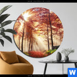 Bild Edelstahloptik Sonnenlicht Im Nebligen Wald Rund Produktvorschau mit dem Bild Sonnenlicht im nebligen Wald im Format Rund.