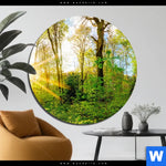 Bild Edelstahloptik Sonnenlicht Im Wald Rund Produktvorschau mit dem Bild Sonnenlicht im Wald im Format Rund.
