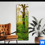 Bild Edelstahloptik Sonnenlicht Im Wald Schmal Produktvorschau mit dem Bild Sonnenlicht im Wald im Format Schmal.