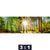 Bild Edelstahloptik Sonniger Wald Panorama Motivorschau Seitenverhaeltnis 3 1