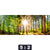 Bild Edelstahloptik Sonniger Wald Panorama Motivorschau Seitenverhaeltnis 5 2