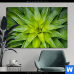 Bild Edelstahloptik Spitze Agavenblaetter Querformat Produktvorschau mit dem Bild Spitze Agavenblätter im Format Querformat.