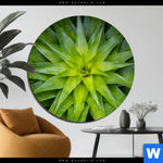 Bild Edelstahloptik Spitze Agavenblaetter Rund Produktvorschau mit dem Bild Spitze Agavenblätter im Format Rund.