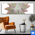 Bild Edelstahloptik Sukkulente No 1 Panorama Produktvorschau mit dem Bild Sukkulente No.1 im Format Panorama.