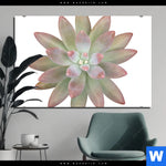 Bild Edelstahloptik Sukkulente No 1 Querformat Produktvorschau mit dem Bild Sukkulente No.1 im Format Querformat.