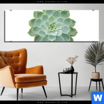 Bild Edelstahloptik Sukkulente No 2 Panorama Produktvorschau mit dem Bild Sukkulente No.2 im Format Panorama.