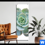 Bild Edelstahloptik Sukkulente No 3 Schmal Produktvorschau mit dem Bild Sukkulente No.3 im Format Schmal.