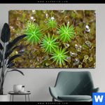 Bild Edelstahloptik Tautropfen Auf Moos Querformat Produktvorschau mit dem Bild Tautropfen auf Moos im Format Querformat.