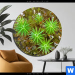 Bild Edelstahloptik Tautropfen Auf Moos Rund Produktvorschau mit dem Bild Tautropfen auf Moos im Format Rund.