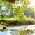 Alu-Dibond Bild | Wald mit Bach bei Sonnenschein | Rund