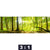 Bild Edelstahloptik Wald Mit Sonnenstrahlen Panorama Motivorschau Seitenverhaeltnis 3 1