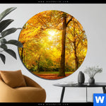 Bild Edelstahloptik Waldlandschaft Im Herbst Rund Produktvorschau mit dem Bild Waldlandschaft im Herbst im Format Rund.