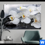 Bild Edelstahloptik Weisse Orchideen Querformat Produktvorschau mit dem Bild Weiße Orchideen im Format Querformat.