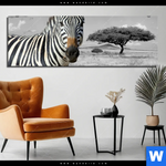 Bild Edelstahloptik Zebra In Afrika Panorama Produktvorschau mit dem Bild Zebra in Afrika im Format Panorama.