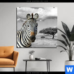 Bild Edelstahloptik Zebra In Afrika Quadrat Produktvorschau mit dem Bild Zebra in Afrika im Format Quadrat.