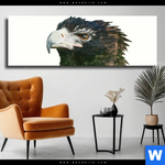 Leinwandbild Adler Wald Panorama Produktvorschau mit dem Bild Adler & Wald im Format Panorama.