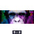 Leinwandbild Affe Pop Art No 1 Panorama Motivorschau Seitenverhaeltnis 5 2