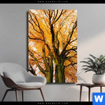 Leinwandbild Alte Buche Hochformat Produktvorschau mit dem Bild Alte Buche im Format Hochformat.