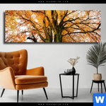 Leinwandbild Alte Buche Panorama Produktvorschau mit dem Bild Alte Buche im Format Panorama.