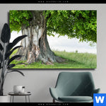Leinwandbild Alte Linde Auf Sommerwiese Querformat Produktvorschau mit dem Bild Alte Linde auf Sommerwiese im Format Querformat.