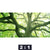 Leinwandbild Baum Im Wald Querformat Motivorschau Seitenverhaeltnis 2 1