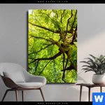 Leinwandbild Baumkrone Einer Buche Hochformat Produktvorschau mit dem Bild Baumkrone einer Buche im Format Hochformat.