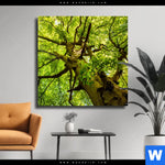 Leinwandbild Baumkrone Einer Buche Quadrat Produktvorschau mit dem Bild Baumkrone einer Buche im Format Quadrat.