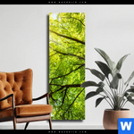 Leinwandbild Baumkrone Einer Buche Schmal Produktvorschau mit dem Bild Baumkrone einer Buche im Format Schmal.