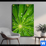 Leinwandbild Blatt Mit Wassertropfen Hochformat Produktvorschau mit dem Bild Blatt mit Wassertropfen im Format Hochformat.