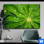 Leinwandbild Blatt Mit Wassertropfen Querformat Produktvorschau mit dem Bild Blatt mit Wassertropfen im Format Querformat.