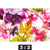 Leinwandbild Blumen Collage No 2 Querformat Motivorschau Seitenverhaeltnis 3 2