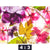 Leinwandbild Blumen Collage No 2 Querformat Motivorschau Seitenverhaeltnis 4 3