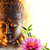Leinwandbild Buddha Kopf Seerose Quadrat Motivvorschau