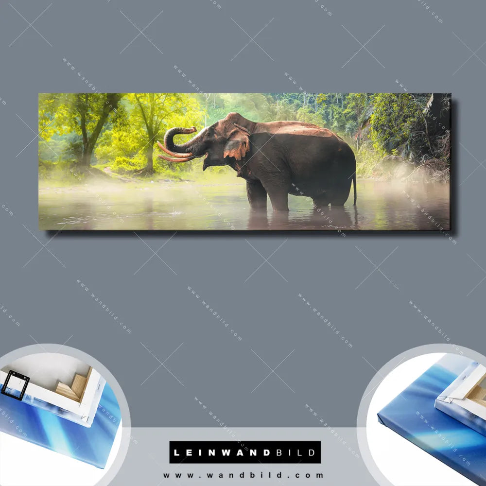wandbild.com - Elefant - im Wasser von Leinwandbild Panorama