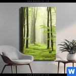 Leinwandbild Fruehling Im Buchenwald Hochformat Produktvorschau mit dem Bild Frühling im Buchenwald im Format Hochformat.