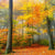 Leinwandbild Herbstfarben Im Nebligen Wald Quadrat Motivvorschau