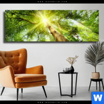 Leinwandbild Im Frischen Gruenen Wald Panorama Produktvorschau mit dem Bild Im frischen grünen Wald im Format Panorama.