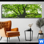 Leinwandbild Imposanter Baum Panorama Produktvorschau mit dem Bild Imposanter Baum im Format Panorama.