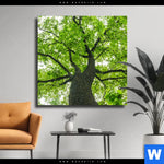 Leinwandbild Imposanter Baum Quadrat Produktvorschau mit dem Bild Imposanter Baum im Format Quadrat.