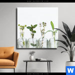Leinwandbild Kraeuter In Flaschen Quadrat Produktvorschau mit dem Bild Kräuter in Flaschen im Format Quadrat.