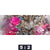 Leinwandbild Leopard Blumen Panorama Motivorschau Seitenverhaeltnis 5 2