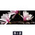 Leinwandbild Magnolien Zen Steine Panorama Motivorschau Seitenverhaeltnis 5 2