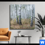 Leinwandbild Nebliger Morgen Im Birkenwald Quadrat Produktvorschau mit dem Bild Nebliger Morgen im Birkenwald im Format Quadrat.