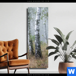 Leinwandbild Nebliger Morgen Im Birkenwald Schmal Produktvorschau mit dem Bild Nebliger Morgen im Birkenwald im Format Schmal.