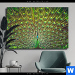 Leinwandbild Pfauenschwanz Querformat Produktvorschau mit dem Bild Pfauenschwanz im Format Querformat.