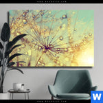 Leinwandbild Pusteblume Bei Sonnenuntergang Querformat Produktvorschau mit dem Bild Pusteblume bei Sonnenuntergang im Format Querformat.
